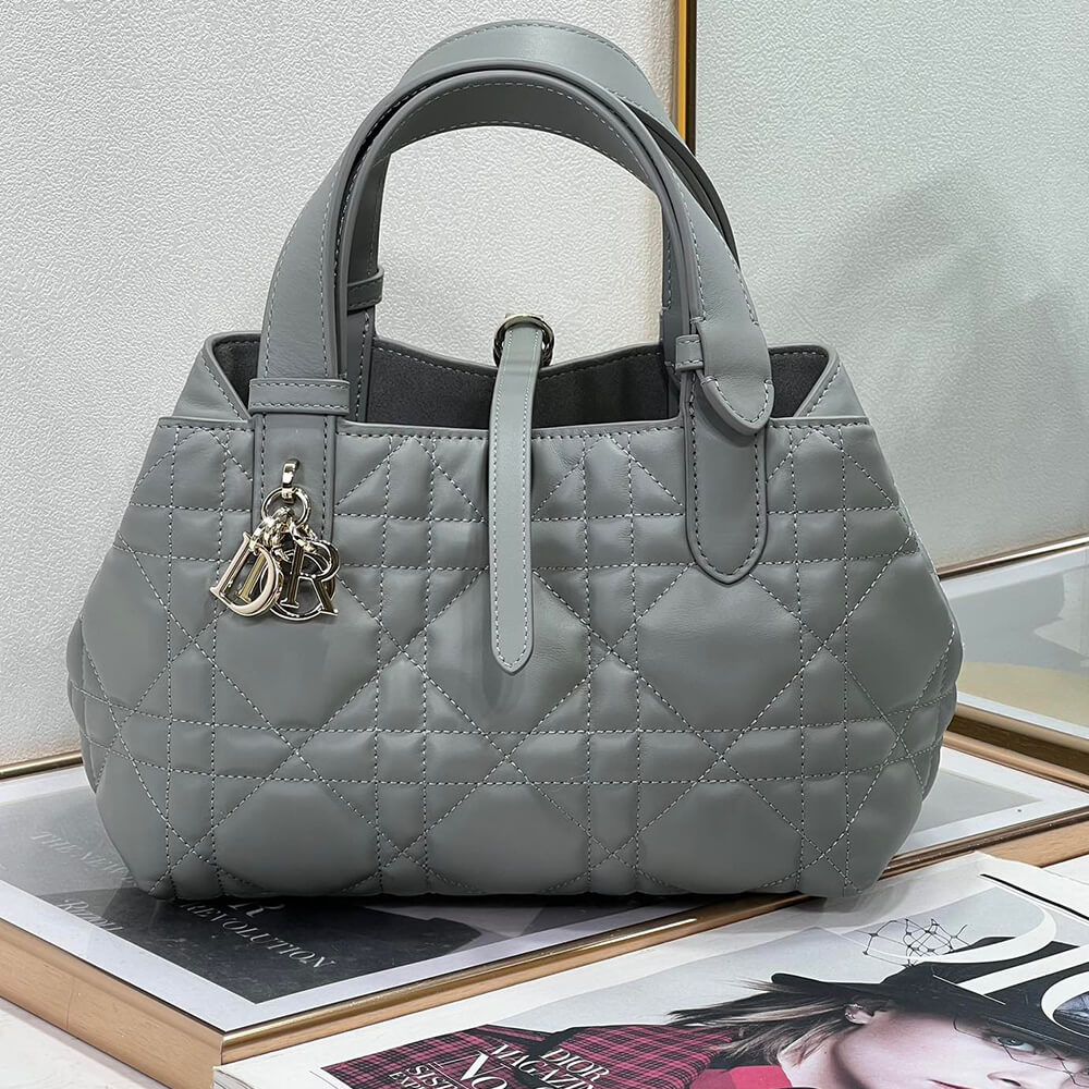 Small DIOR TOUJOURS BAG