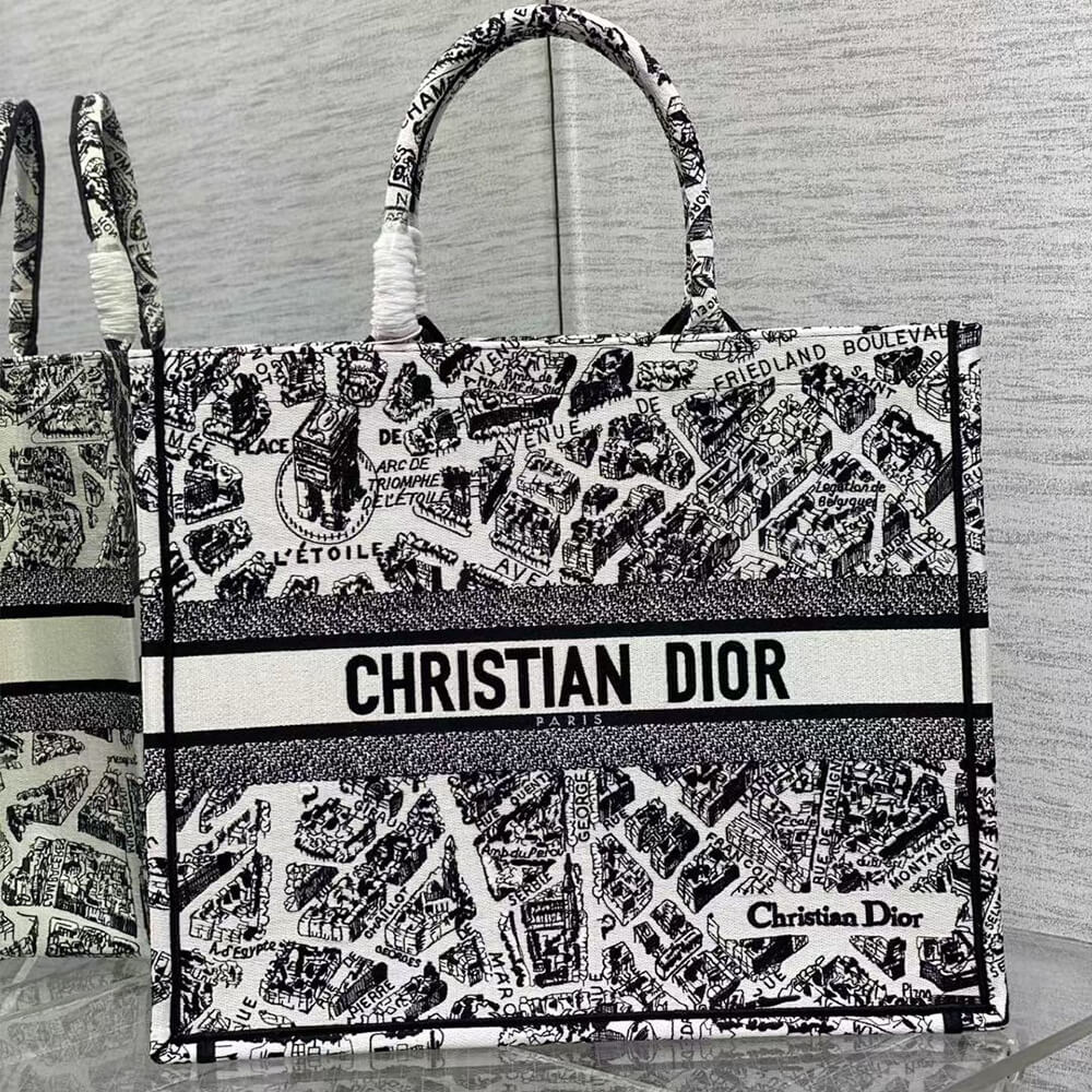 LARGE DIOR BOOK TOTE
