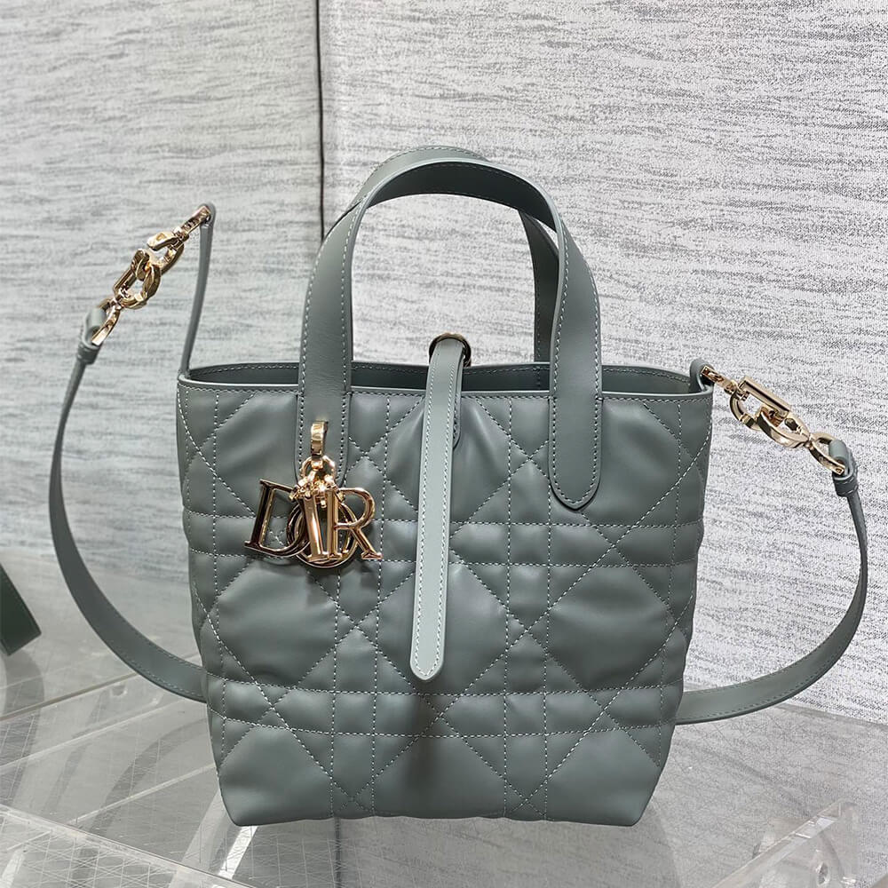 Small Dior Toujours Vertical Tote Bag(high-end grade)